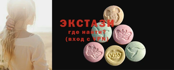 ECSTASY Бородино