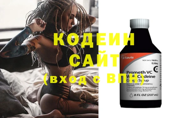 ECSTASY Бородино