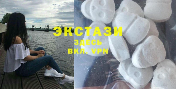 ECSTASY Бородино